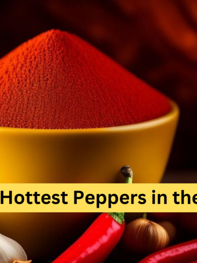 cropped-Top-8-Hottest-Peppers-in-the-World.png