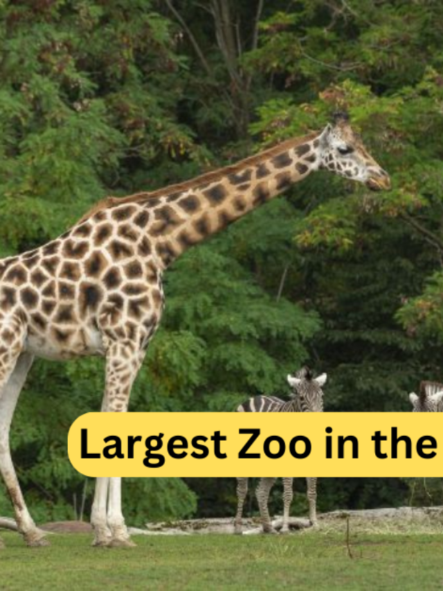 Largest Zoo in the World